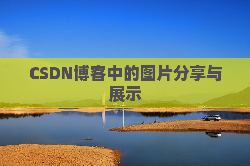 CSDN博客中的图片分享与展示